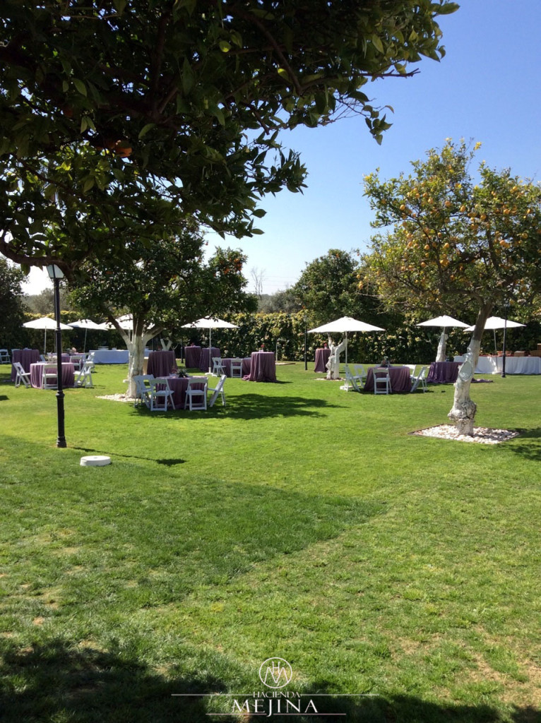 Bodas civiles en Sevilla, jardines