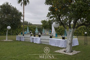 Bodas civiles en Sevilla, jardines