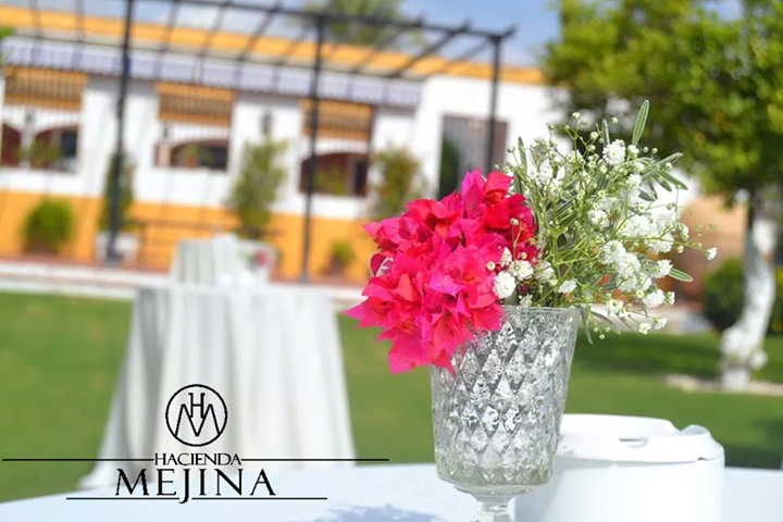 Boda en verano en Sevilla