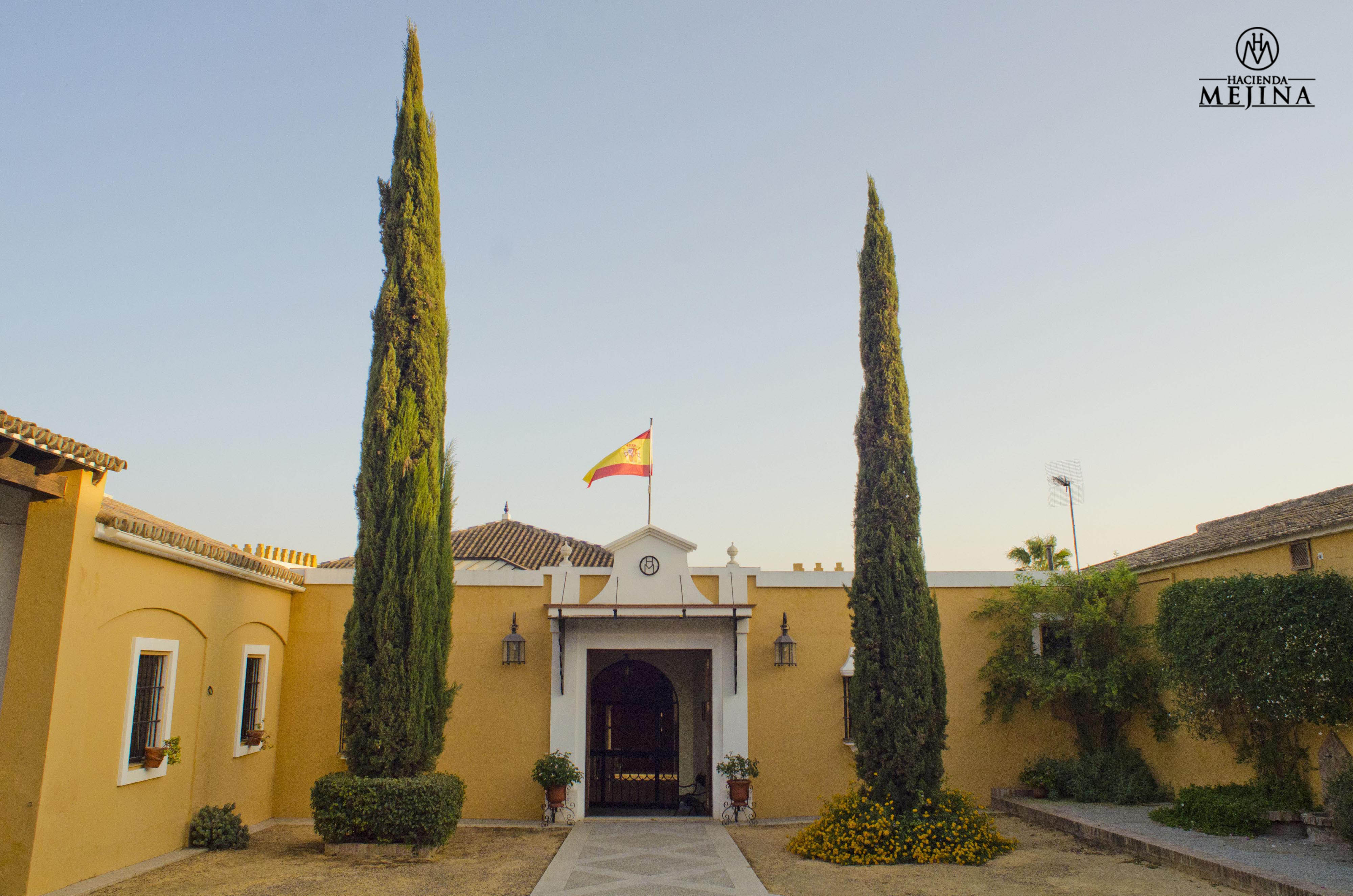 Bodas en Sevilla