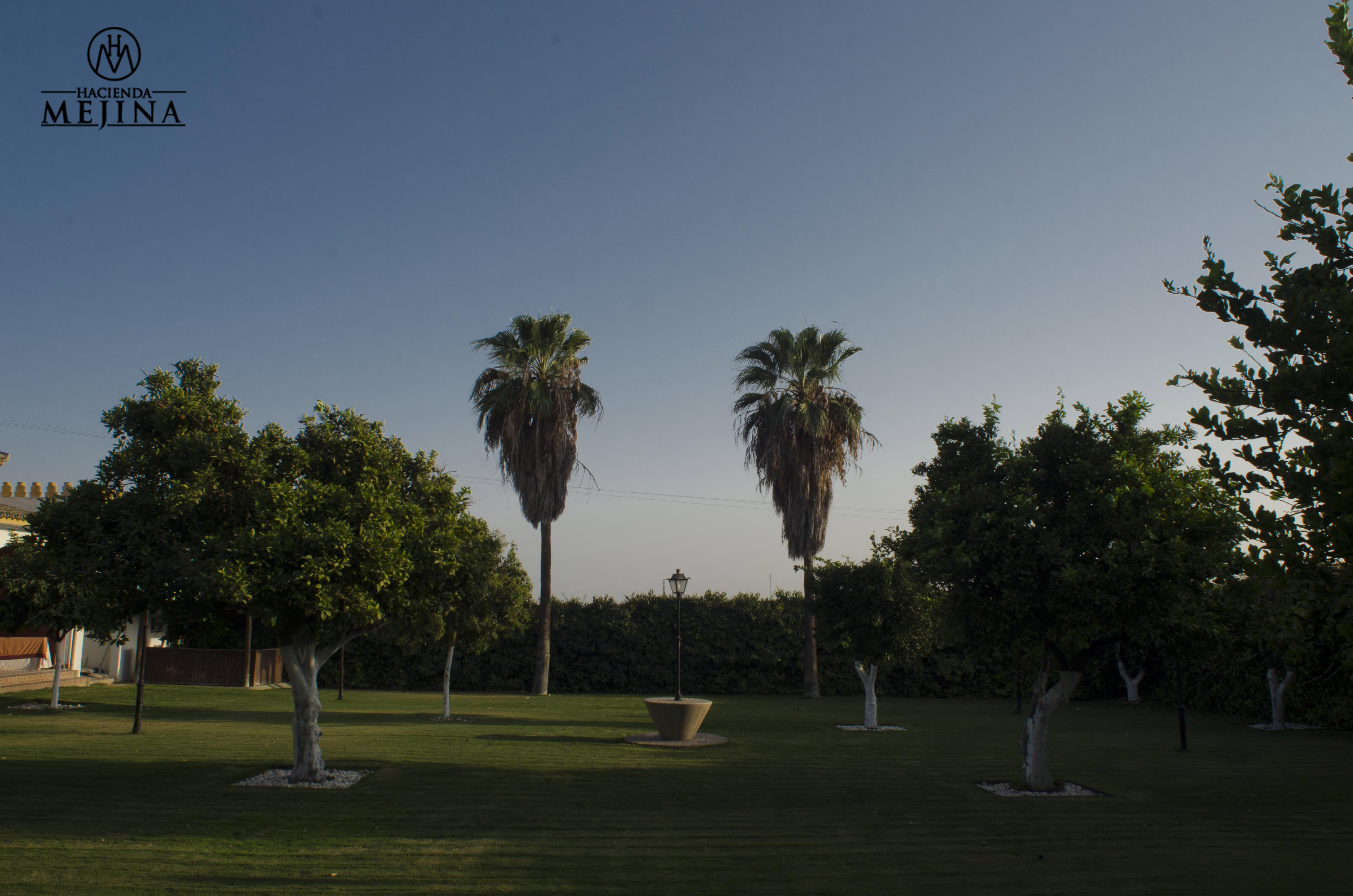 Bodas en Sevilla